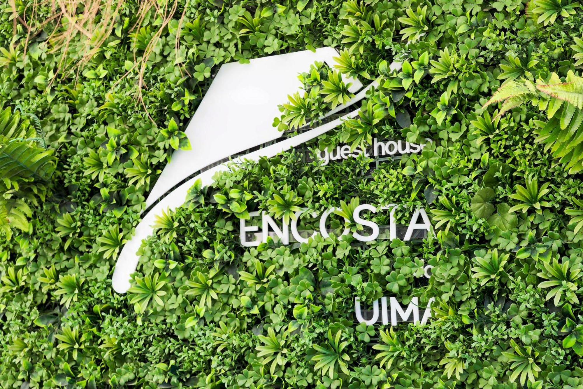Encosta Do Uima - Guest House Caldas de Sao Jorge المظهر الخارجي الصورة